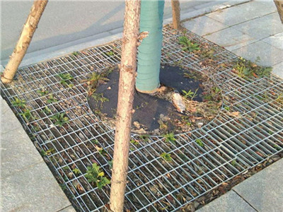 树池钢格板